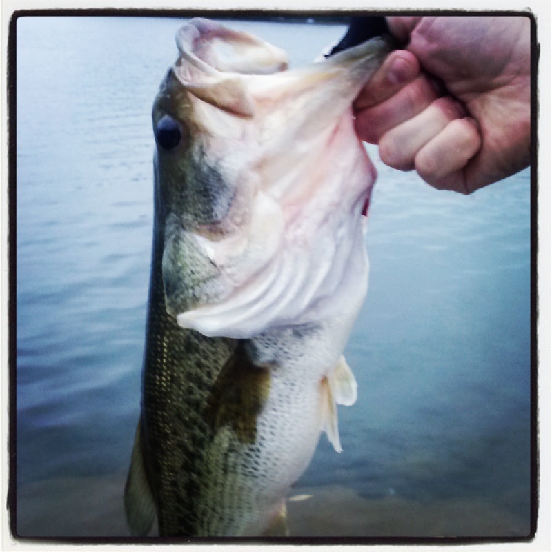 Long Pond Shore Fishing