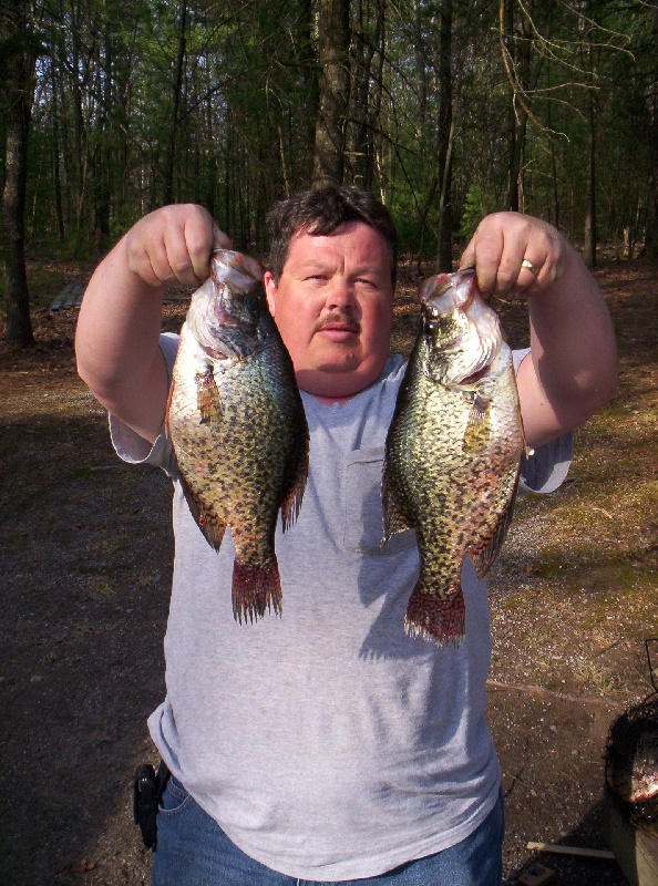 crappies