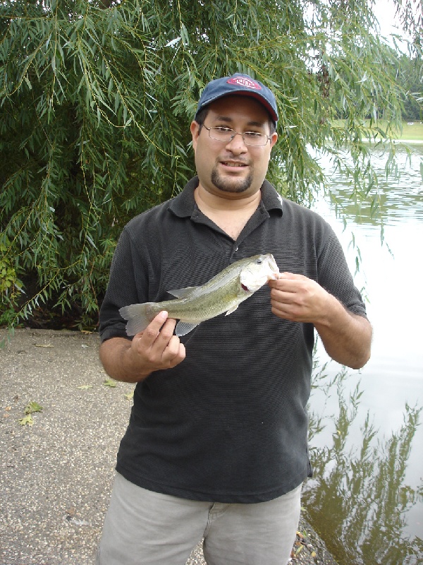 Kissena Lake LGM Bass