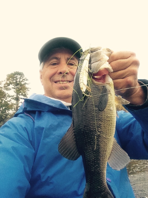 Fall Bass 2014