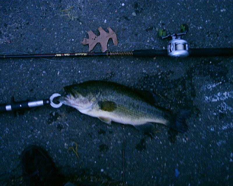 5/15/08 - Upper Mystic Lake - Medford, MA