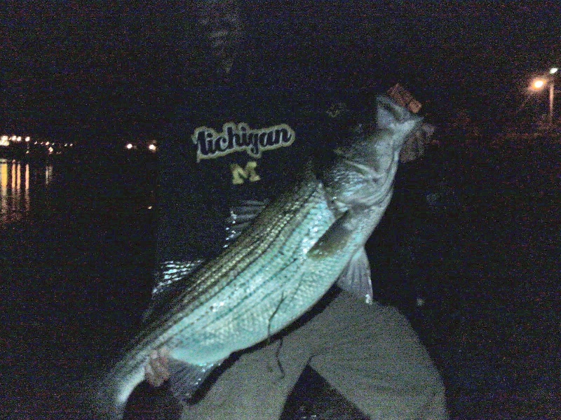 shorebound river fishing 