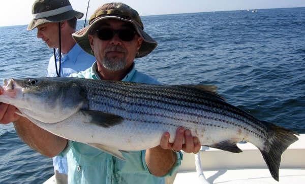 Geo w/ his Sandy Hook Striper